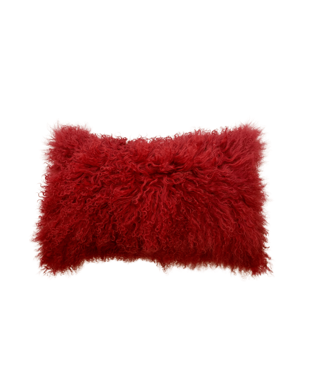 Watermelon 12" x 20" Lumbar Pillow by BS Trading - Haven