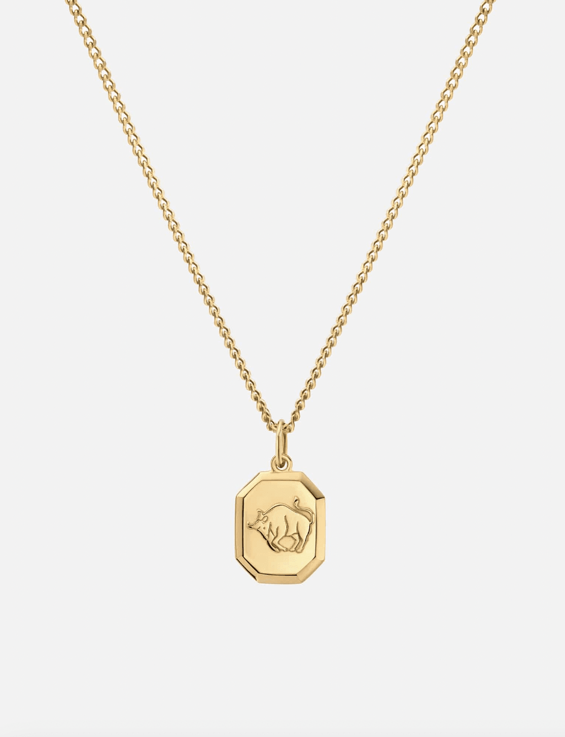 Taurus Nyle Pendant Necklace by Miansai - Haven