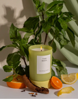 Thai Basil Candle by Brooklyn Candle Studio