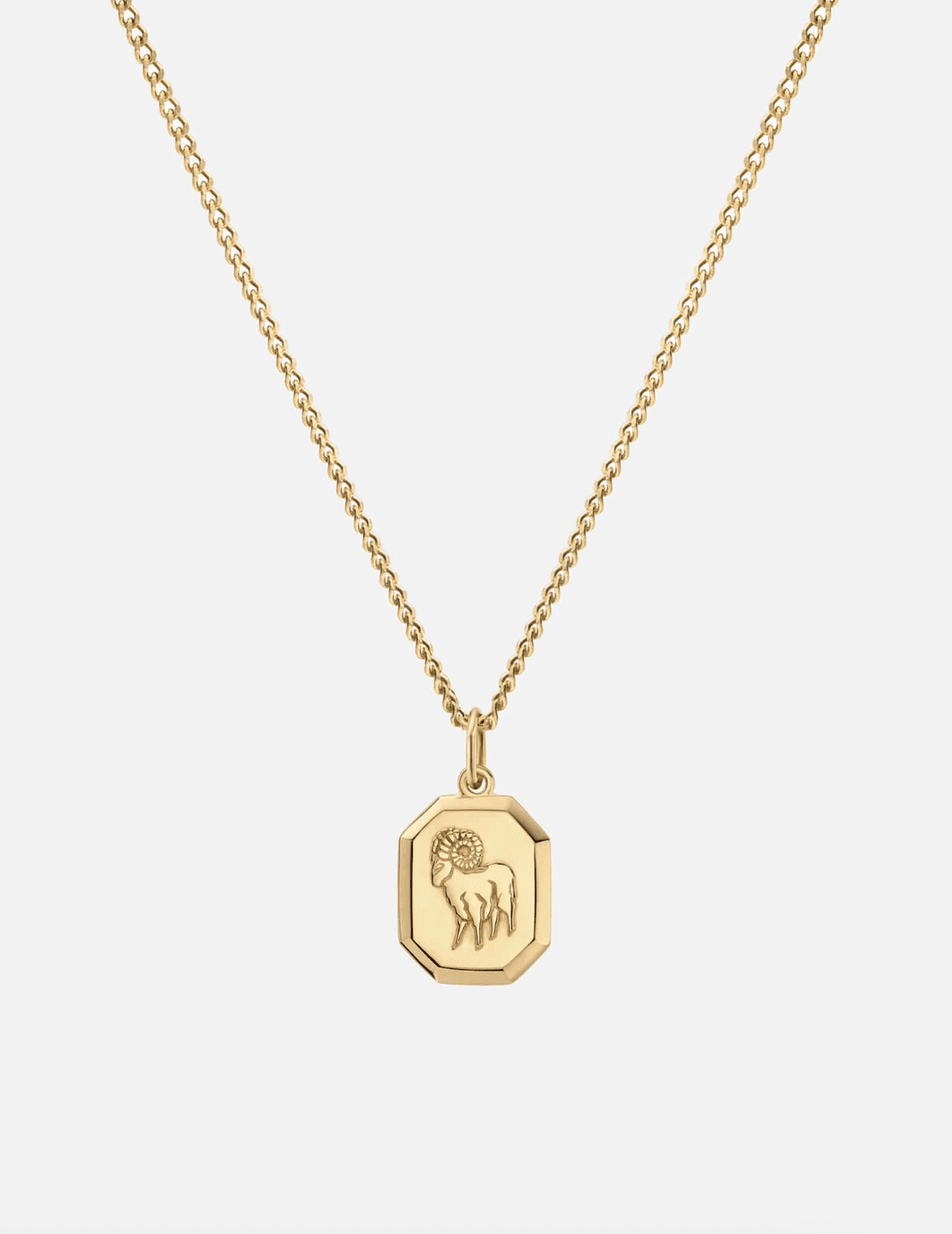 Aries Nyle Pendant Necklace by Miansai - Haven