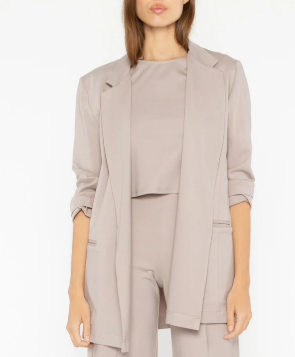 Ponte Knit Oversized Blazer in Clay by Ripley Rader