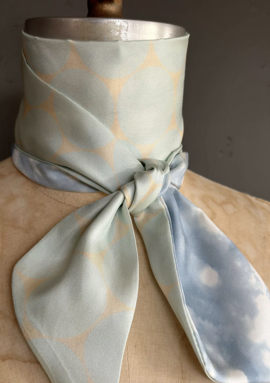 Day Dreaming of Bluebirds Petite Silky by At Home With Ray