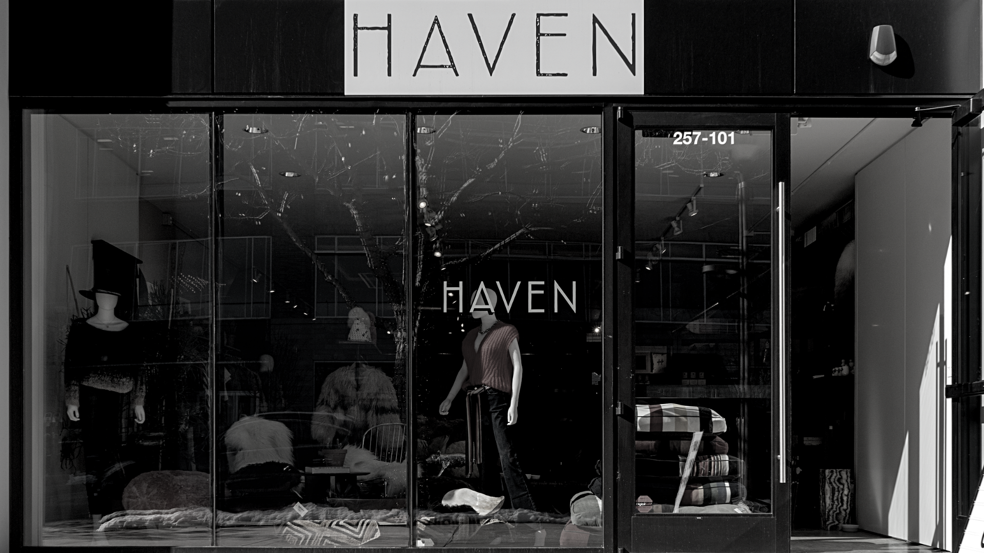 Untitled_design_3 - Haven