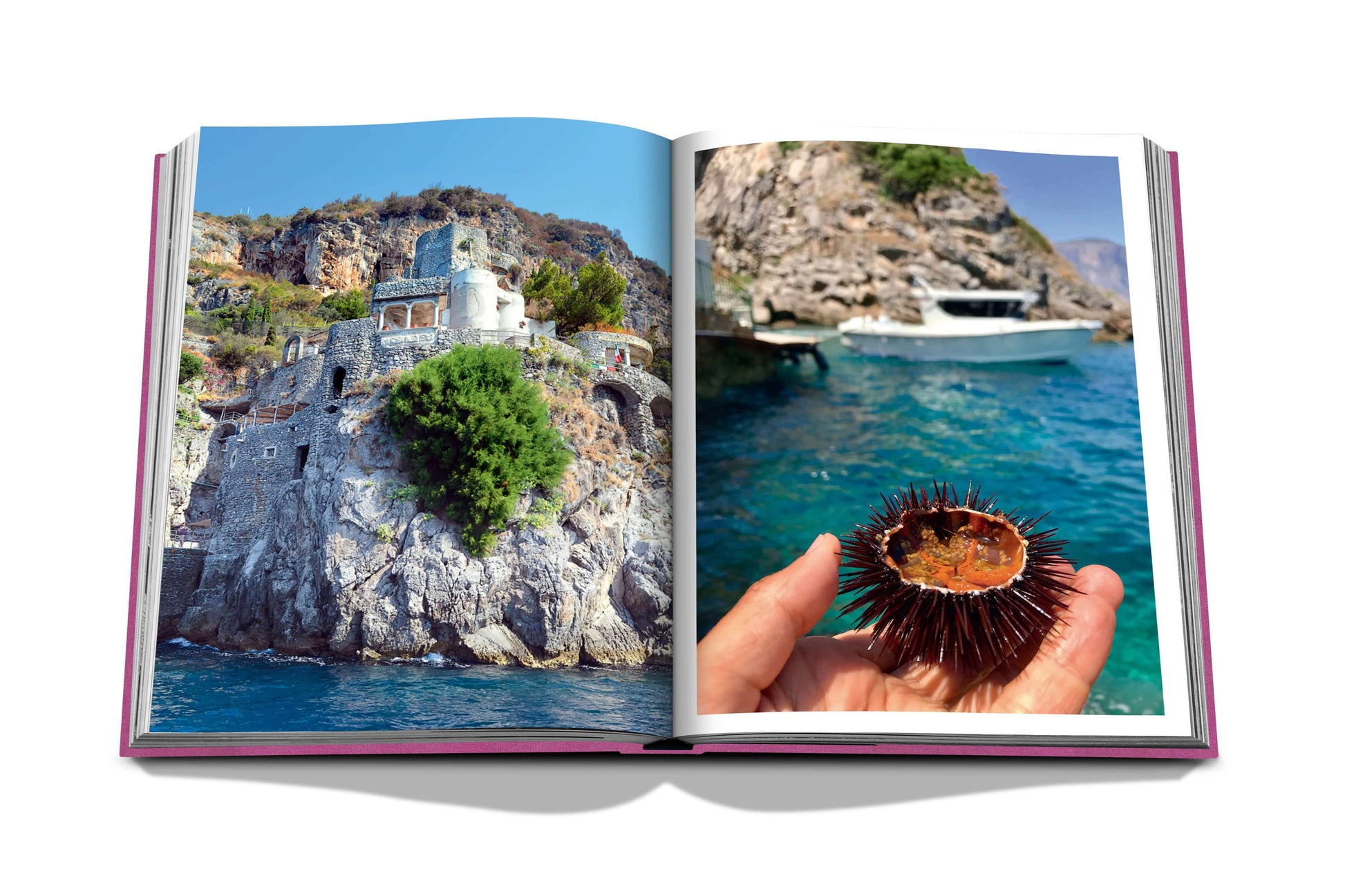 Amalfi Coast Coffee Table Book by Assouline - Haven