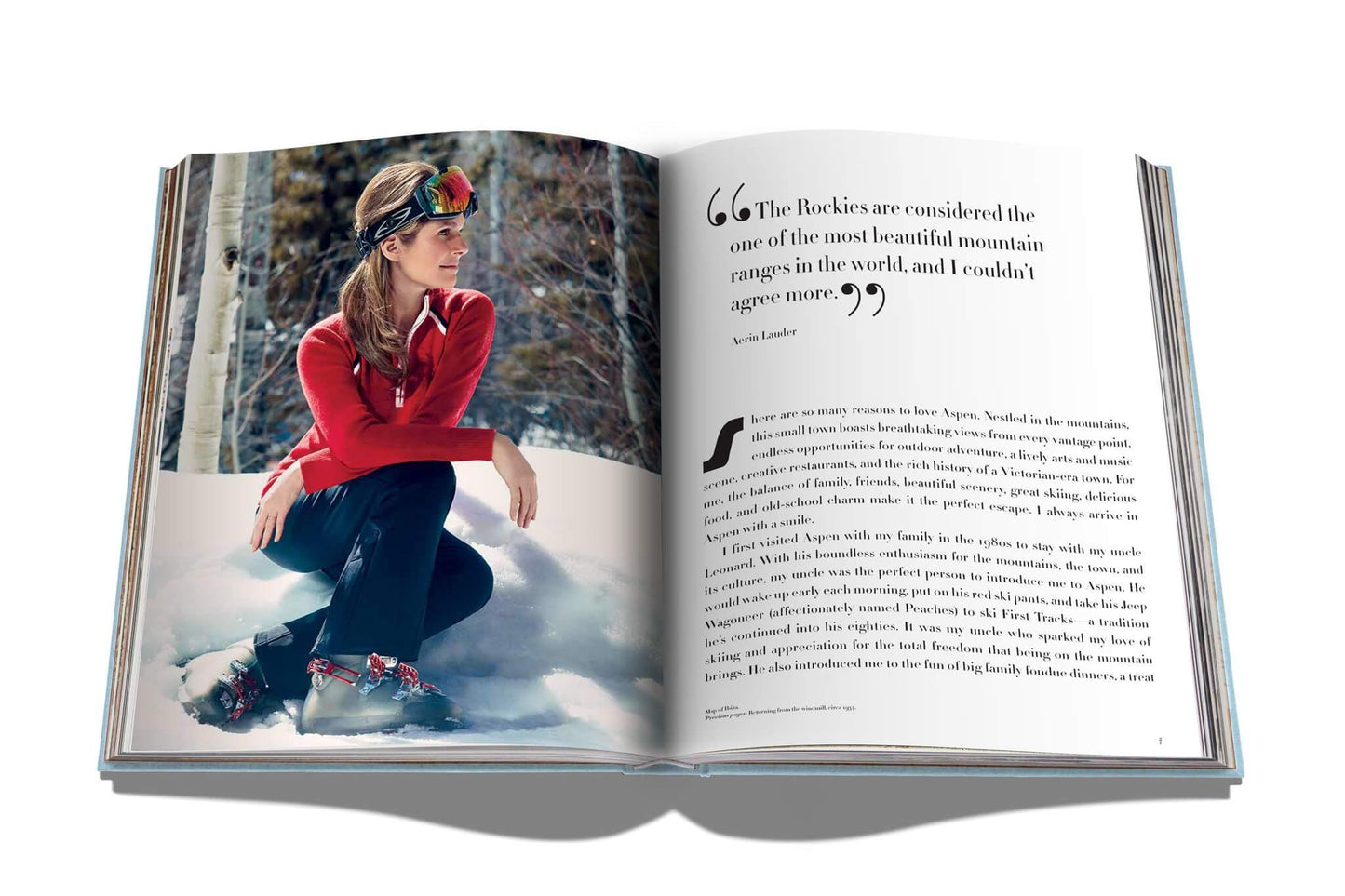 Aspen Style Coffee Table Book by Assouline - Haven