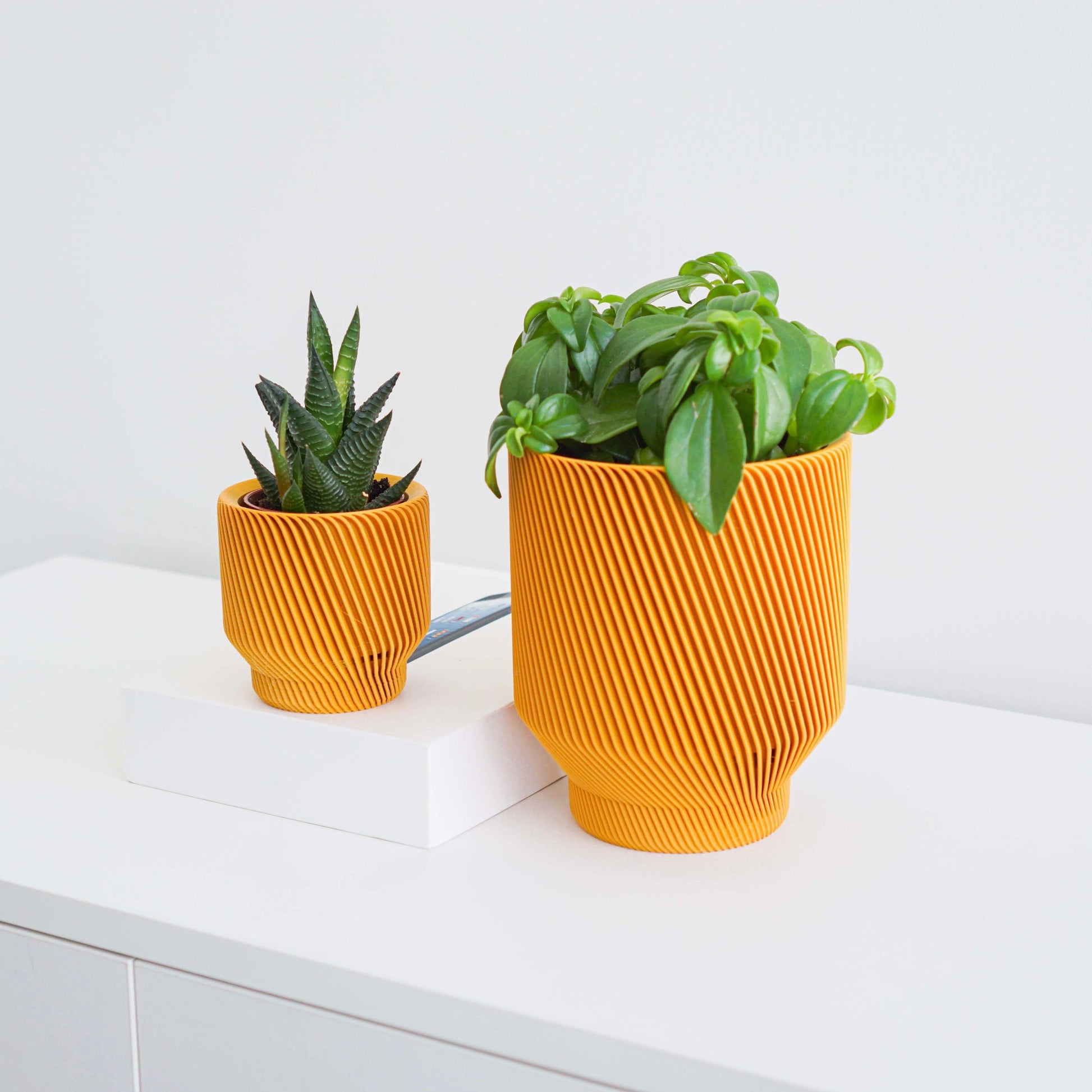 Spruce Planter by Conifer Homewares - Haven