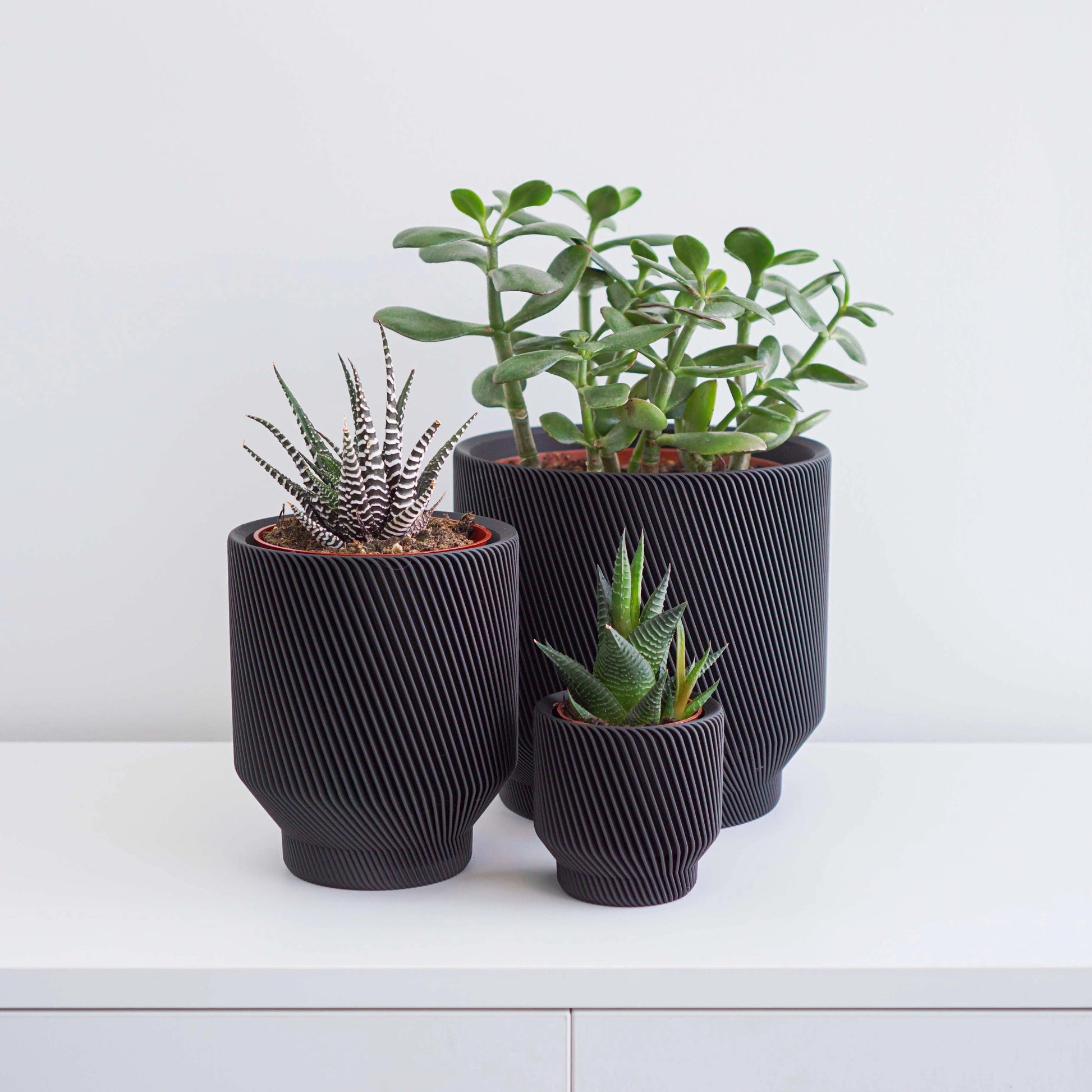 Spruce Planter by Conifer Homewares - Haven