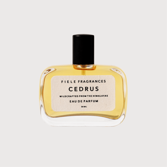 Cedrus eau de parfum by Fiele Fragrances - Haven