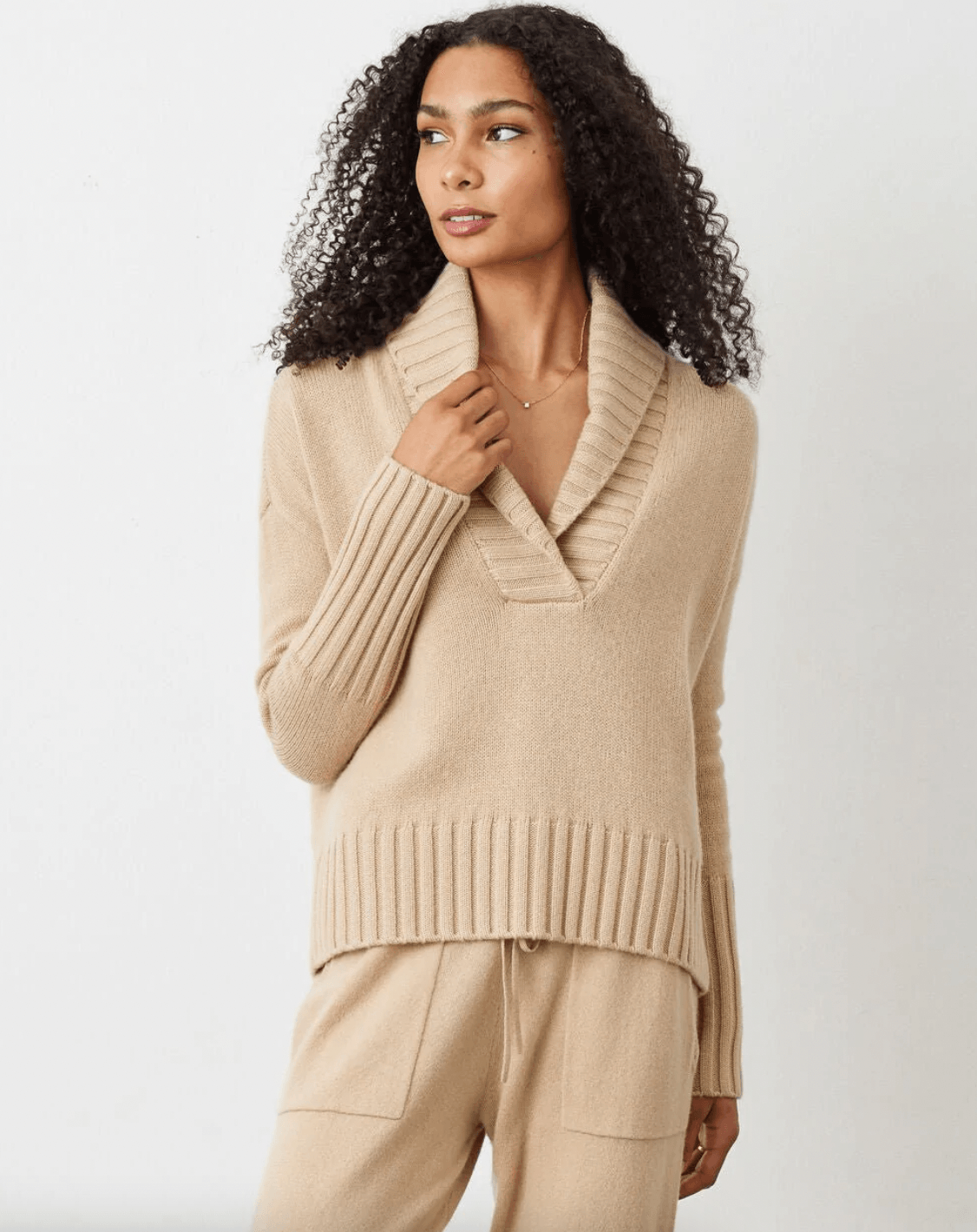 Mia Cashmere Shawl Collar Sweater by Not Monday - Haven